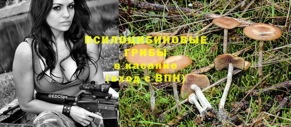 прущий лед Киреевск