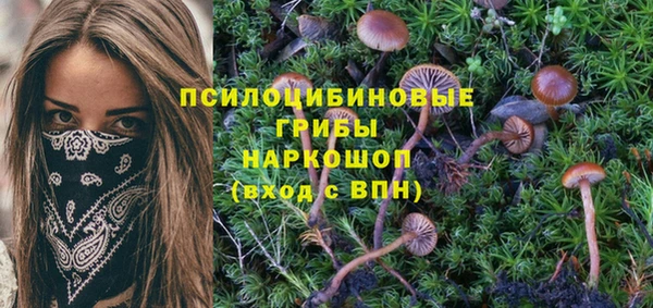 прущий лед Киреевск