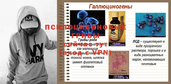 mdpv Киренск