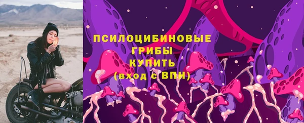 прущий лед Киреевск