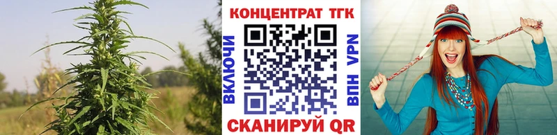 Дистиллят ТГК концентрат  Купить где  Губкин 
