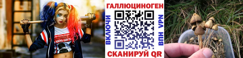Галлюциногенные грибы ЛСД Губкин