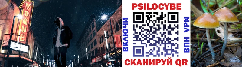 Купить закладки  Губкин  Галлюциногенные грибы прущие грибы 